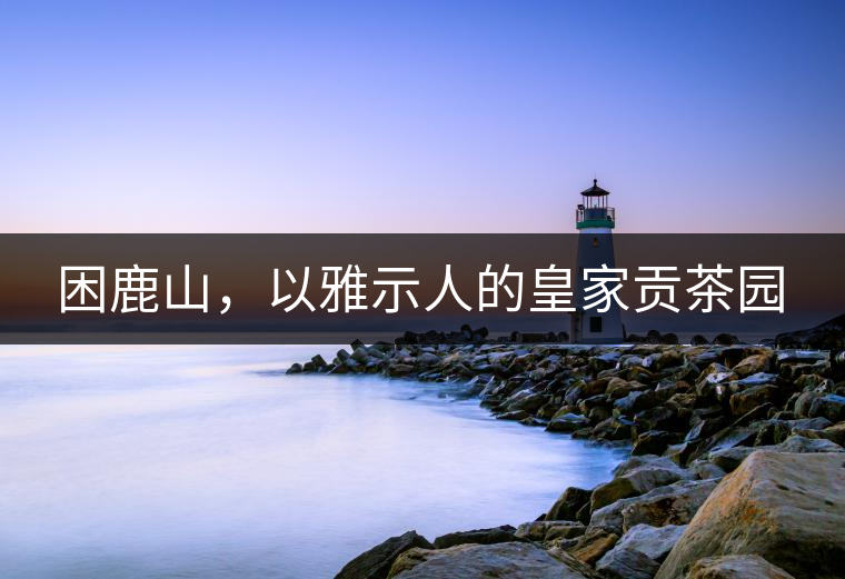 困鹿山，以雅示人的皇家貢茶園