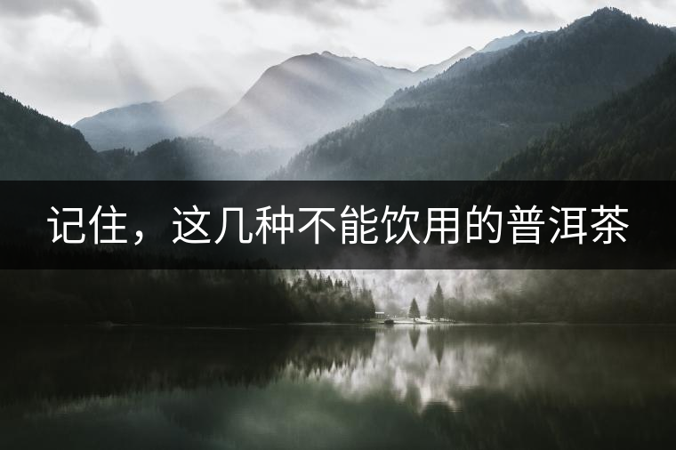 記住，這幾種不能飲用的普洱茶