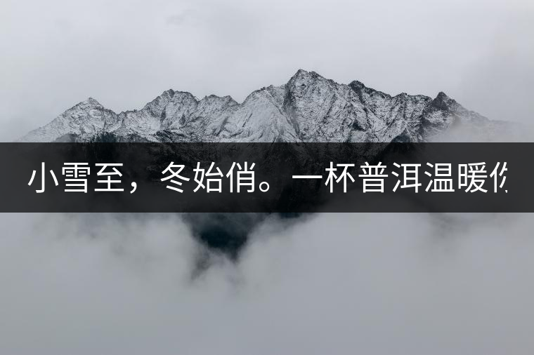 小雪至，冬始俏。一杯普洱溫暖你的冬天！