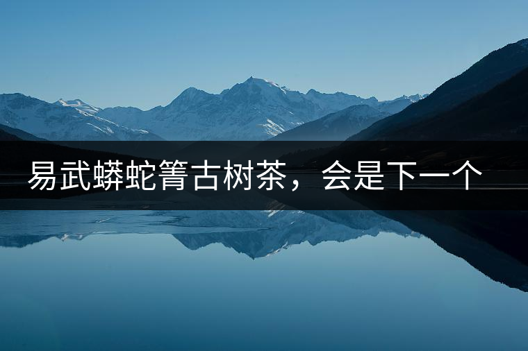 易武蟒蛇箐古樹(shù)茶，會(huì)是下一個(gè)銅箐河嗎？