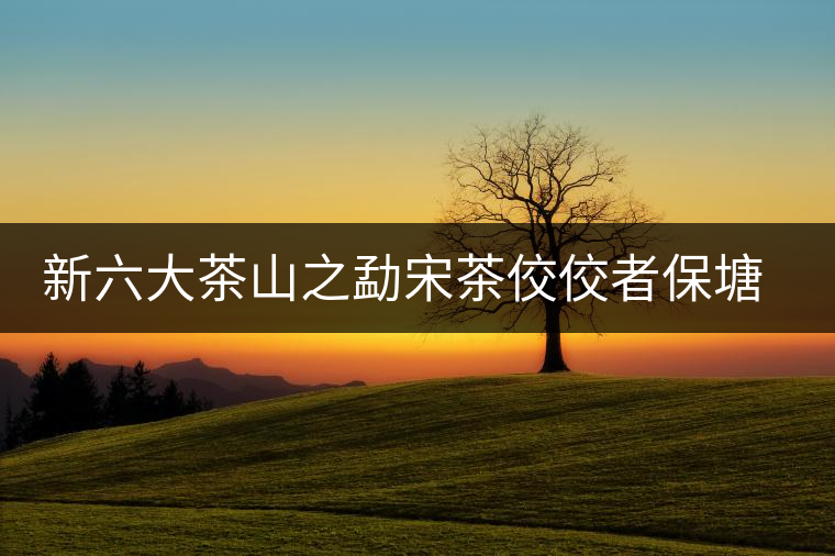 新六大茶山之勐宋茶佼佼者保塘古樹(shù)茶 新六大茶山之勐宋茶佼佼者保塘古樹(shù)茶