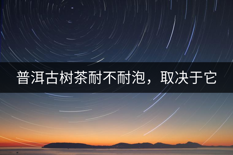 普洱古樹茶耐不耐泡，取決于它