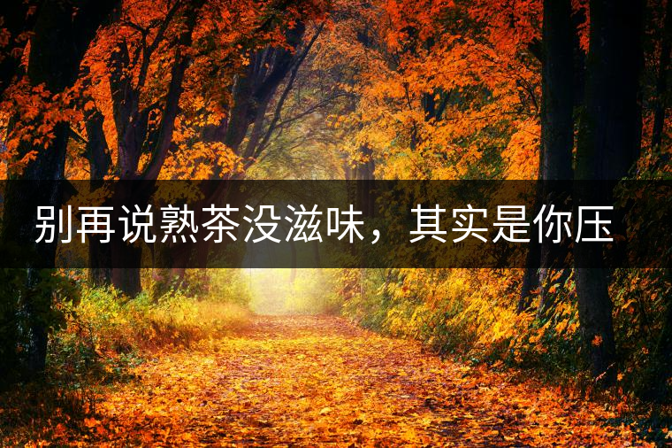 別再說熟茶沒滋味，其實是你壓根沒喝懂