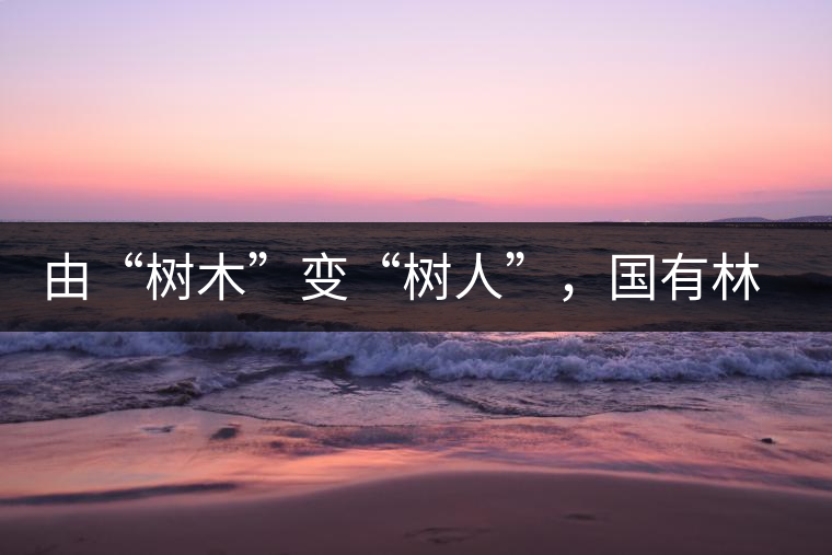 由“樹(shù)木”變“樹(shù)人”，國(guó)有林普洱茶為什么越來(lái)越受歡迎？