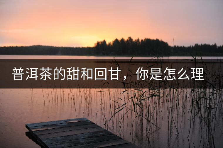 普洱茶的甜和回甘，你是怎么理解的？