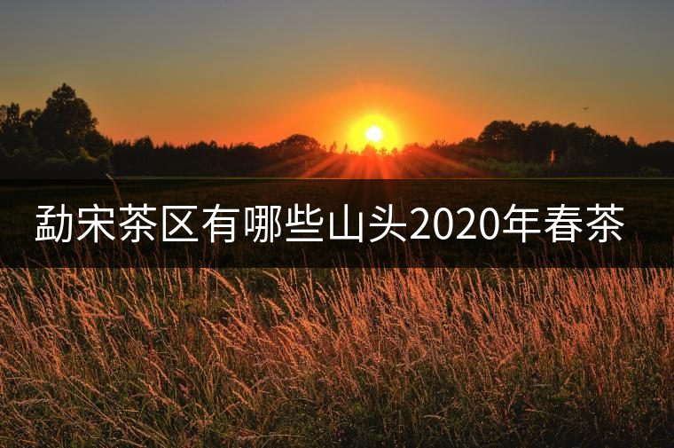 勐宋茶區(qū)有哪些山頭2020年春茶價(jià)格？