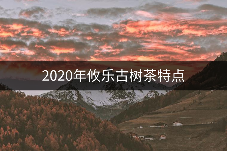 2020年攸樂(lè)古樹(shù)茶特點(diǎn)
