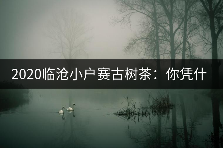 2020臨滄小戶賽古樹茶：你憑什么當(dāng)冰島賣？