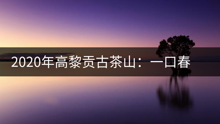 2020年高黎貢古茶山：一口春茶香，一口騰沖味