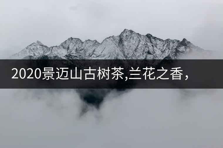 2020景邁山古樹茶,蘭花之香，自然之味