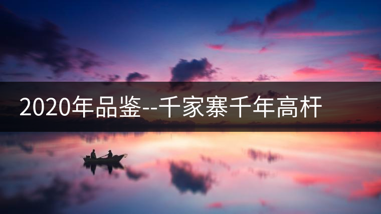 2020年品鑒--千家寨千年高桿野生茶口感特點(diǎn)