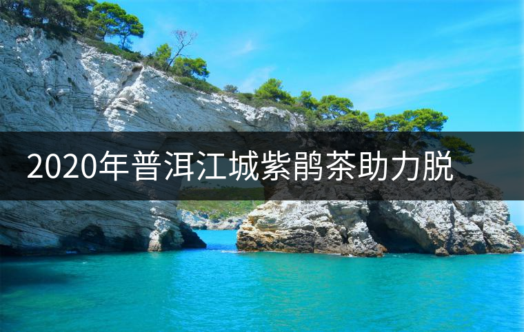 2020年普洱江城紫鵑茶助力脫貧攻堅(jiān)消費(fèi)扶貧 2020年普洱江城紫鵑茶助力脫貧攻堅(jiān)消費(fèi)扶貧