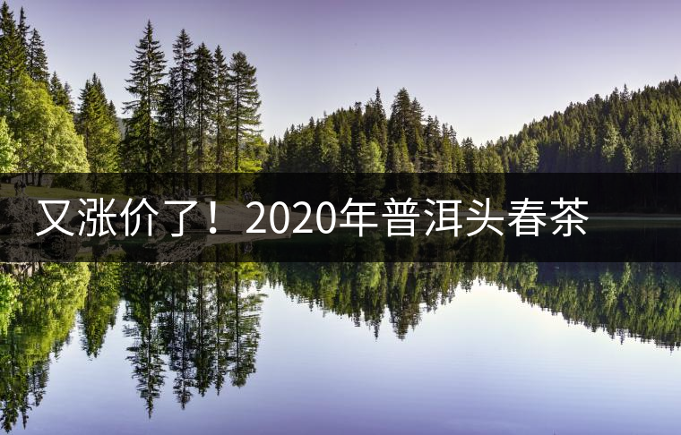 又漲價了！2020年普洱頭春茶同比減產(chǎn)50%，導致微小區(qū)域價格上浮
