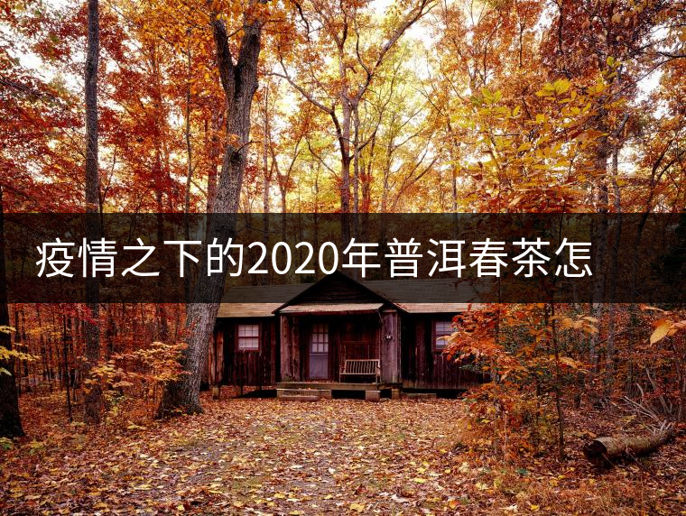 疫情之下的2020年普洱春茶怎么辦？春天會(huì)遲到，但一定會(huì)來