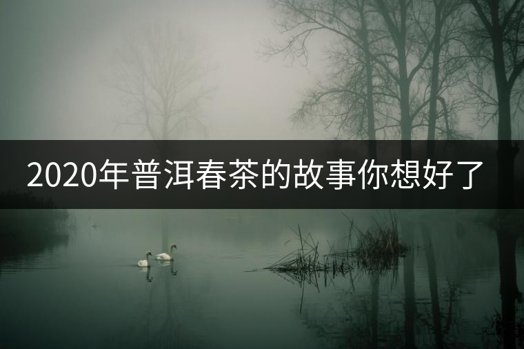 2020年普洱春茶的故事你想好了嗎？