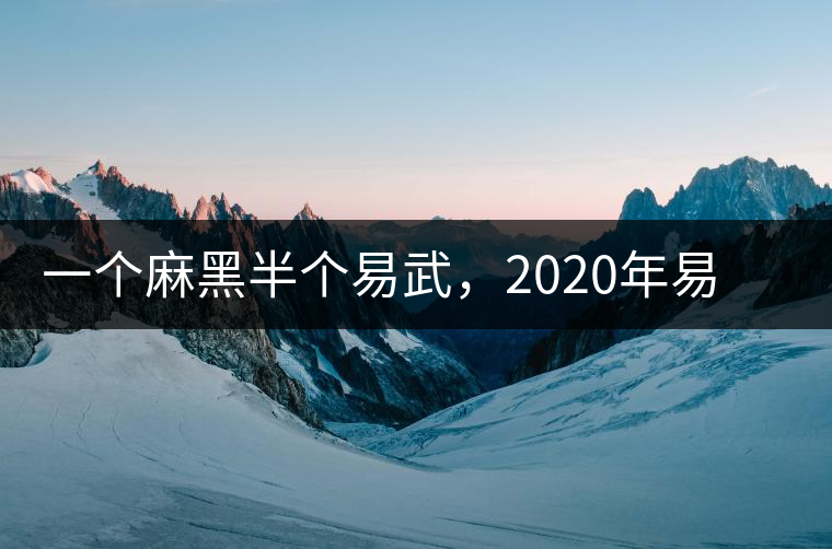 一個(gè)麻黑半個(gè)易武，2020年易武麻黑古樹春茶介紹