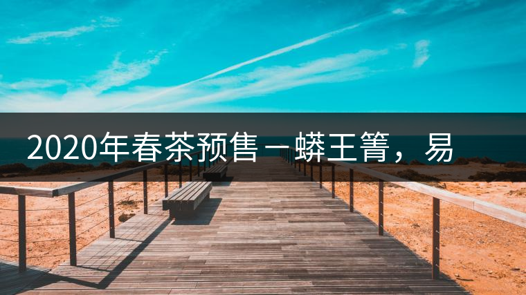 2020年春茶預(yù)售－蟒王箐，易武一個(gè)蟒蛇出沒(méi)的地方