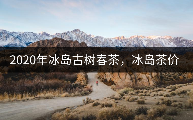 2020年冰島古樹春茶，冰島茶價格貴在哪里？
