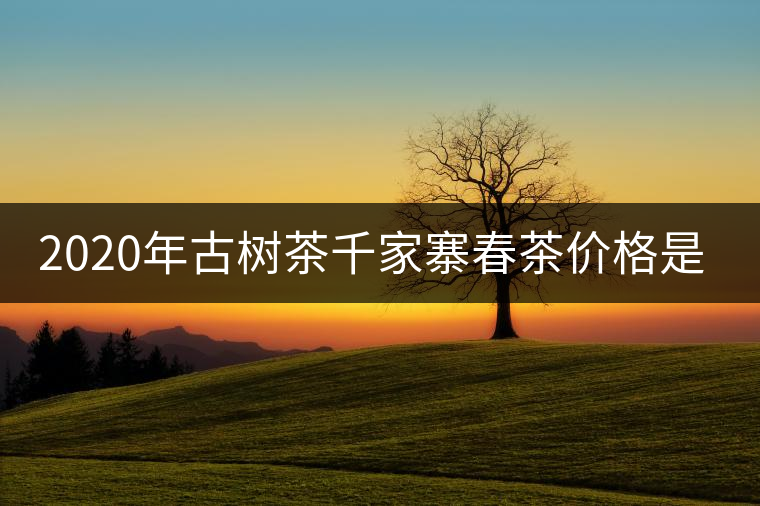 2020年古樹茶千家寨春茶價(jià)格是多少？