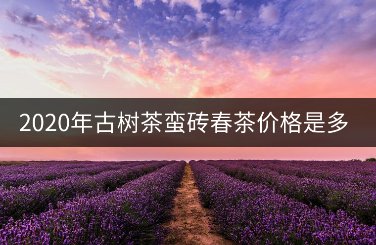 2020年古樹茶蠻磚春茶價格是多少？