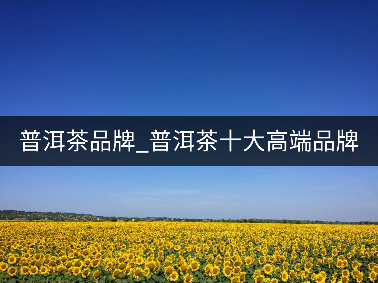 普洱茶品牌_普洱茶十大高端品牌_哪個牌子好？
