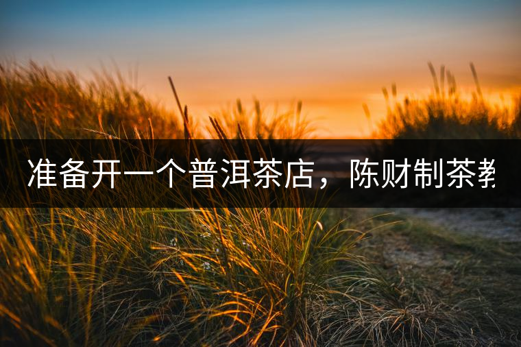 準(zhǔn)備開一個(gè)普洱茶店，陳財(cái)制茶教你怎么做！