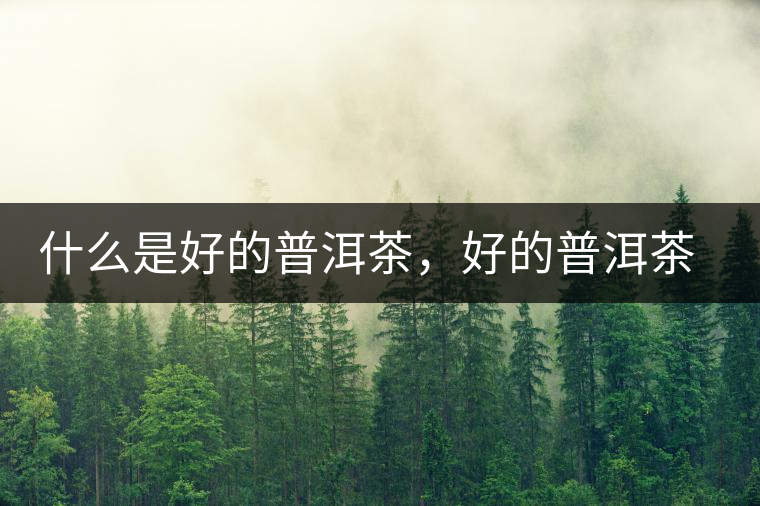 什么是好的普洱茶，好的普洱茶必須要有好的工藝！