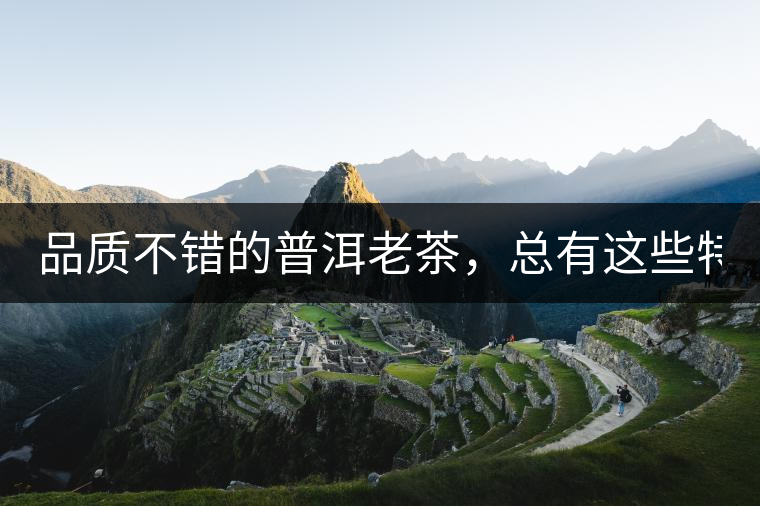 品質(zhì)不錯(cuò)的普洱老茶，總有這些特點(diǎn)！