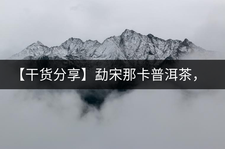 【干貨分享】勐宋那卡普洱茶，不僅僅是小班章那么單純！