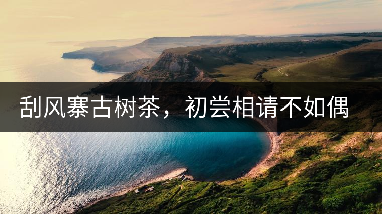 刮風(fēng)寨古樹茶，初嘗相請不如偶遇