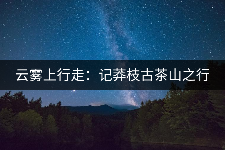 云霧上行走：記莽枝古茶山之行