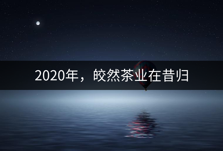 2020年，皎然茶業(yè)在昔歸