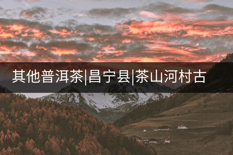 其他普洱茶|昌寧縣|茶山河村古茶樹群