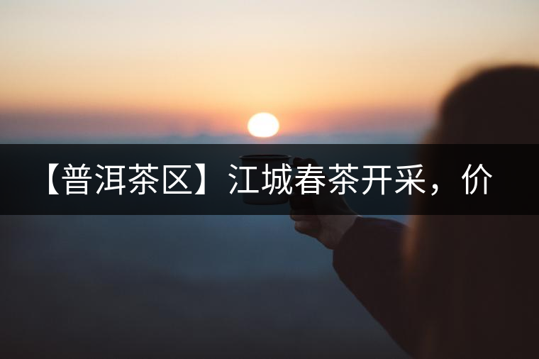 【普洱茶區(qū)】江城春茶開采，價格漲幅小