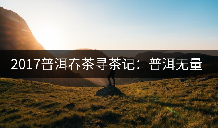 2017普洱春茶尋茶記:普洱無量山系列 2017普洱春茶尋茶記:普洱無量山系列