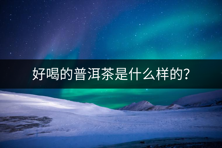 好喝的普洱茶是什么樣的？