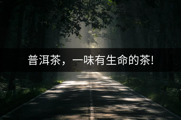 普洱茶，一味有生命的茶!