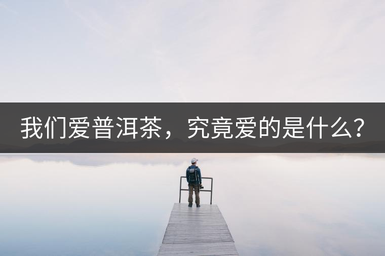 我們愛普洱茶，究竟愛的是什么？