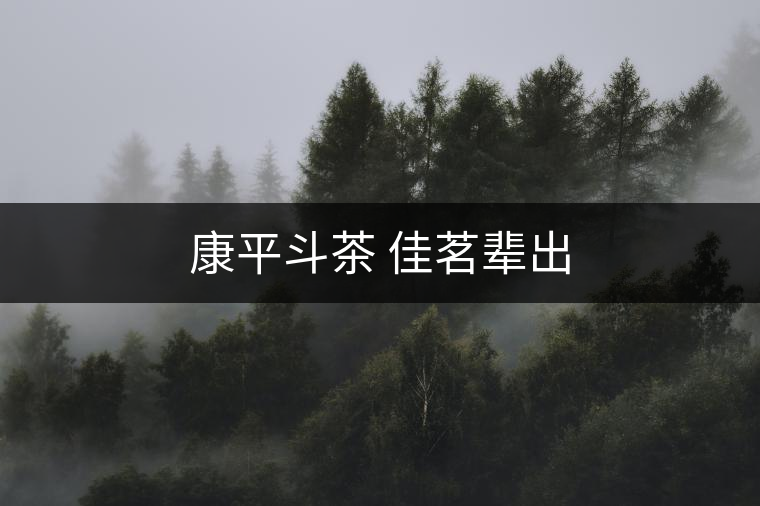 康平斗茶 佳茗輩出