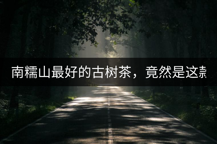 南糯山最好的古樹茶，竟然是這款！