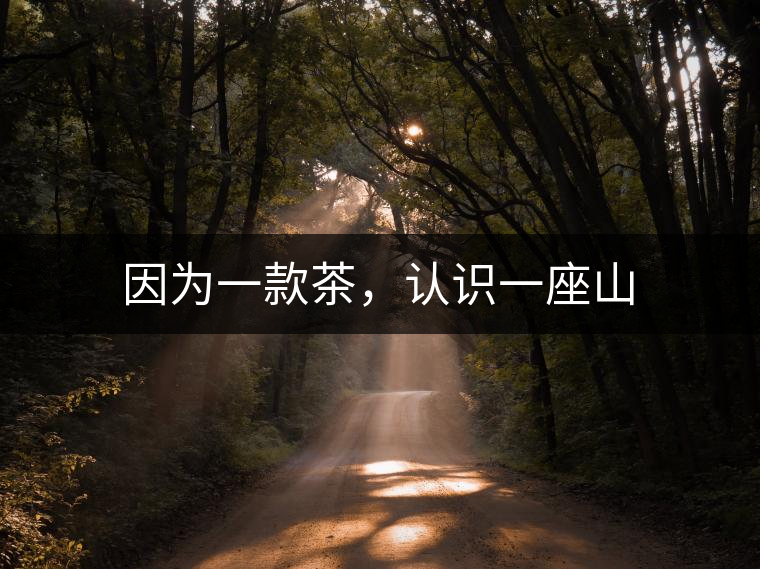 因?yàn)橐豢畈?，認(rèn)識(shí)一座山