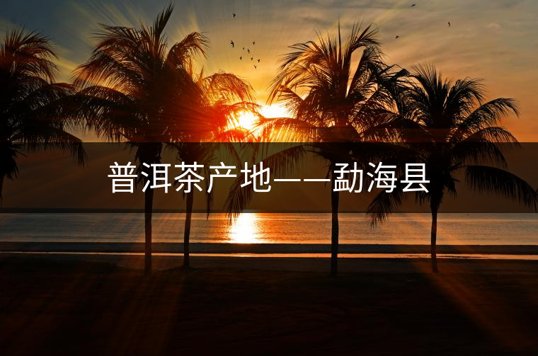 普洱茶產(chǎn)地——勐?？h