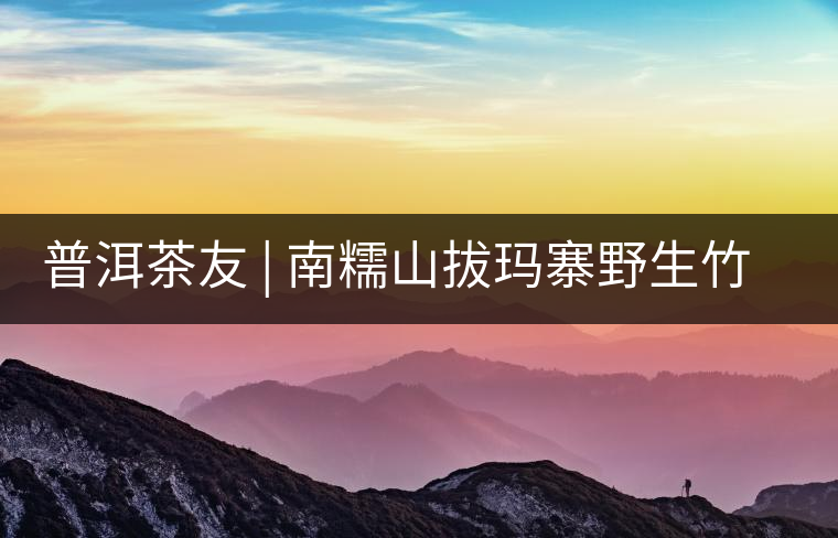 普洱茶友 | 南糯山拔瑪寨野生竹蓀給看過？