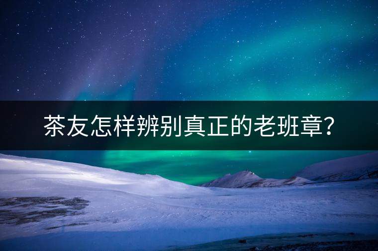 茶友怎樣辨別真正的老班章？