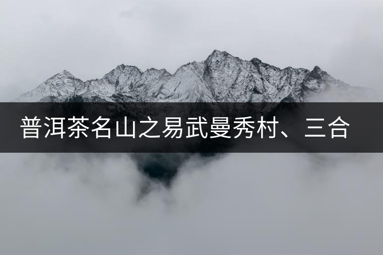普洱茶名山之易武曼秀村、三合社村