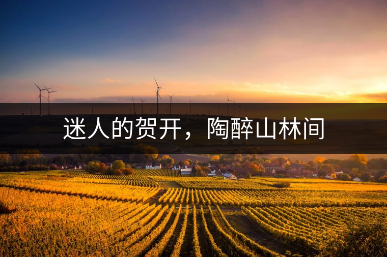 迷人的賀開，陶醉山林間