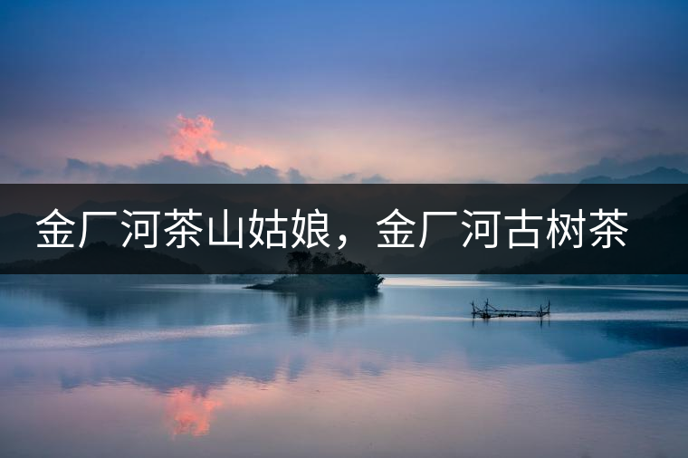 金廠河茶山姑娘，金廠河古樹(shù)茶特點(diǎn)與價(jià)格