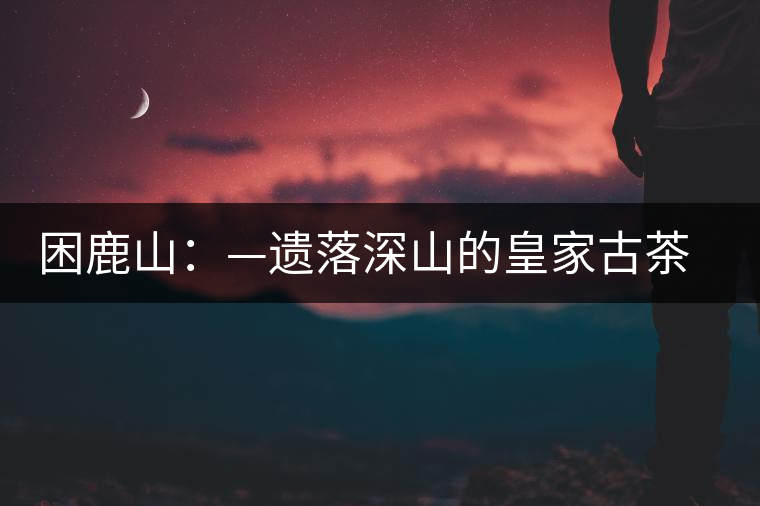 困鹿山：—遺落深山的皇家古茶園