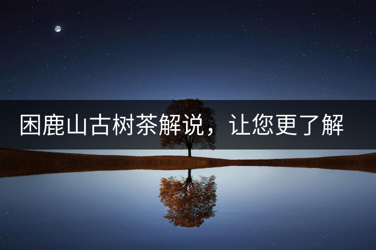 困鹿山古樹(shù)茶解說(shuō)，讓您更了解古樹(shù)貢茶