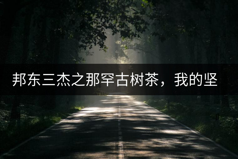 邦東三杰之那罕古樹茶，我的堅持